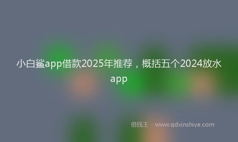 小白鲨app借款2025年推荐，概括五个2024放水app