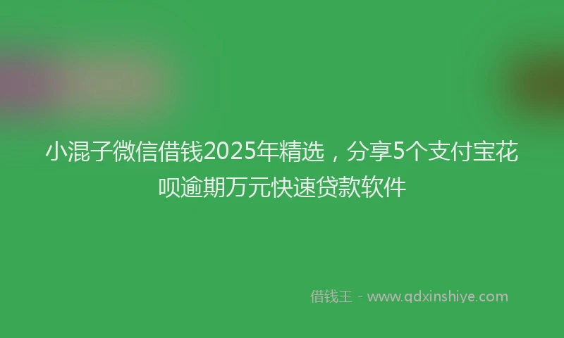 小混子微信借钱2025年精选，分享5个支付宝花呗逾期万元快速贷款软件
