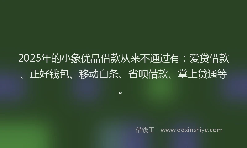 2025年的小象优品借款从来不通过有：爱贷借款、正好钱包、移动白条、省呗借款、掌上贷通等。