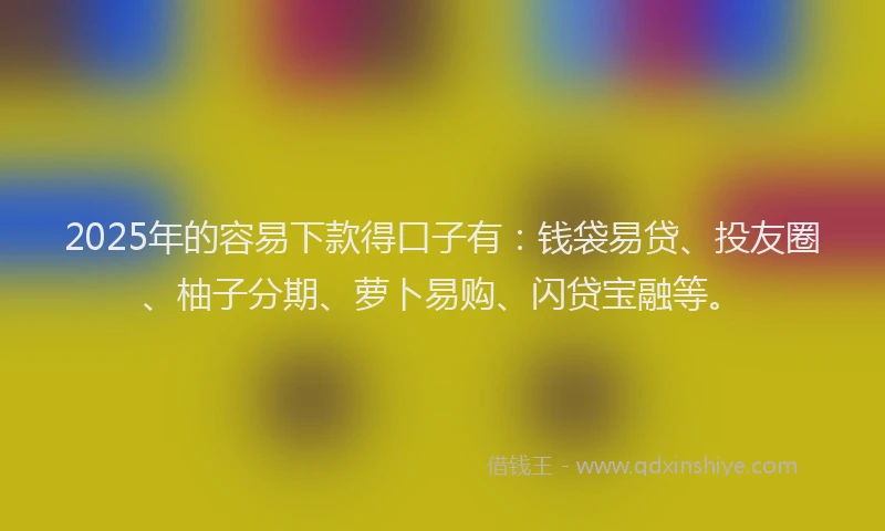 2025年的容易下款得口子有：钱袋易贷、投友圈、柚子分期、萝卜易购、闪贷宝融等。