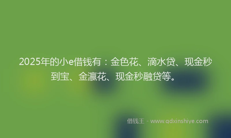 2025年的小e借钱有：金色花、滴水贷、现金秒到宝、金瀛花、现金秒融贷等。