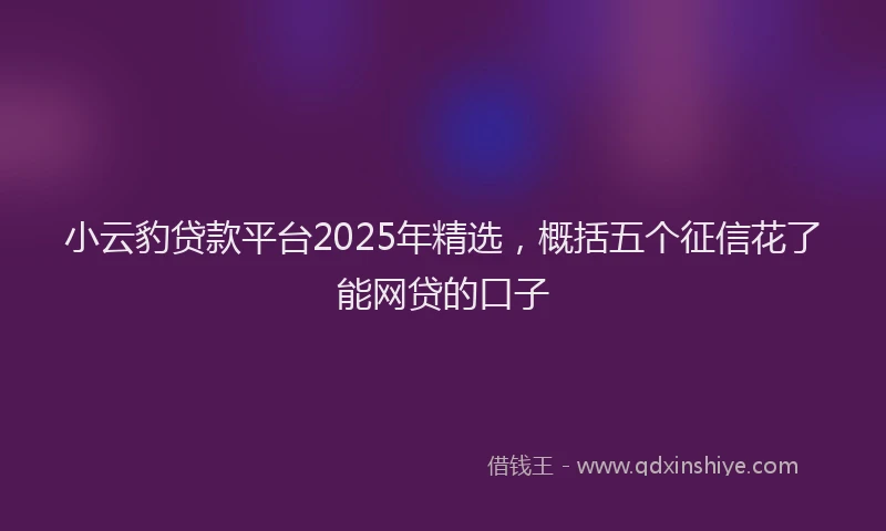 小云豹贷款平台2025年精选，概括五个征信花了能网贷的口子