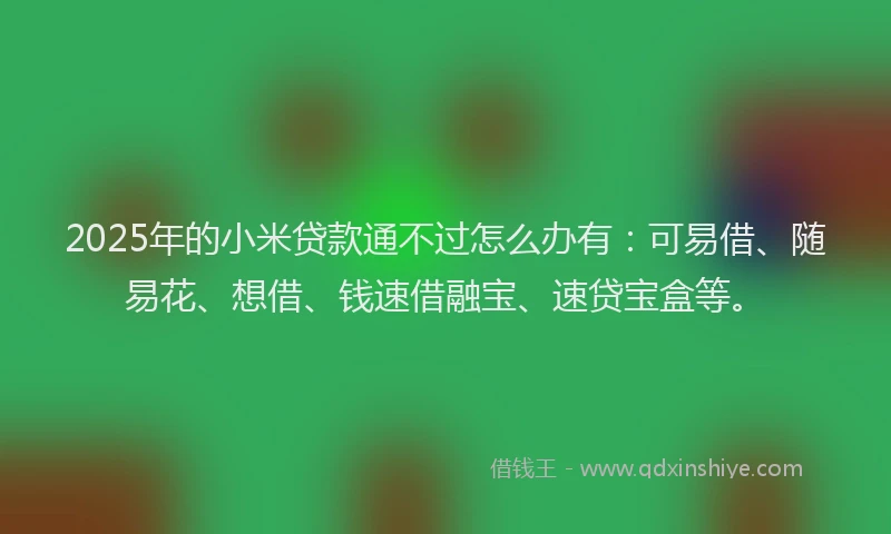2025年的小米贷款通不过怎么办有：可易借、随易花、想借、钱速借融宝、速贷宝盒等。