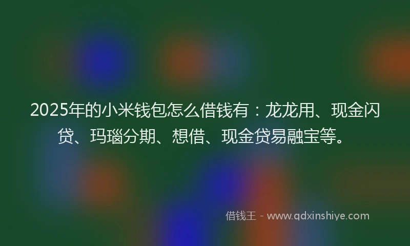 2025年的小米钱包怎么借钱有：龙龙用、现金闪贷、玛瑙分期、想借、现金贷易融宝等。