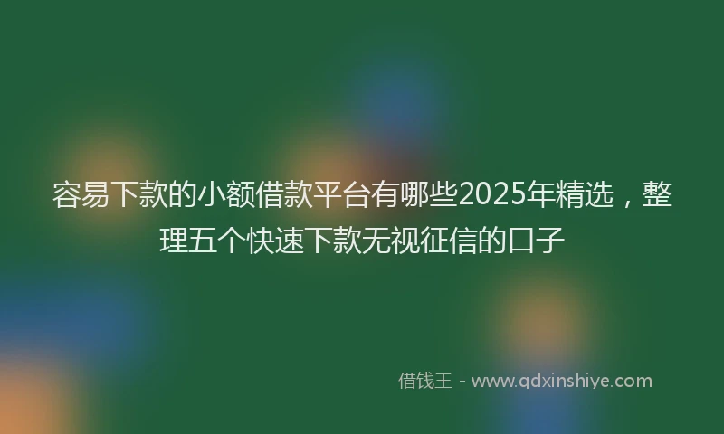 容易下款的小额借款平台有哪些2025年精选，整理五个快速下款无视征信的口子