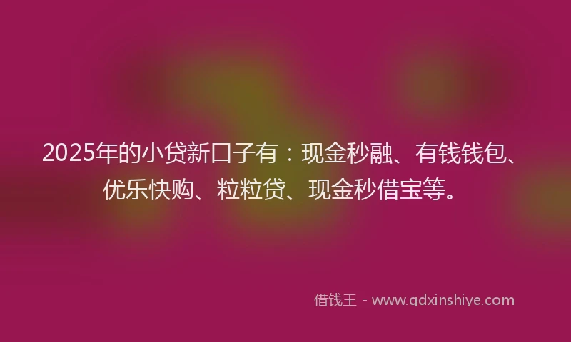 2025年的小贷新口子有：现金秒融、有钱钱包、优乐快购、粒粒贷、现金秒借宝等。