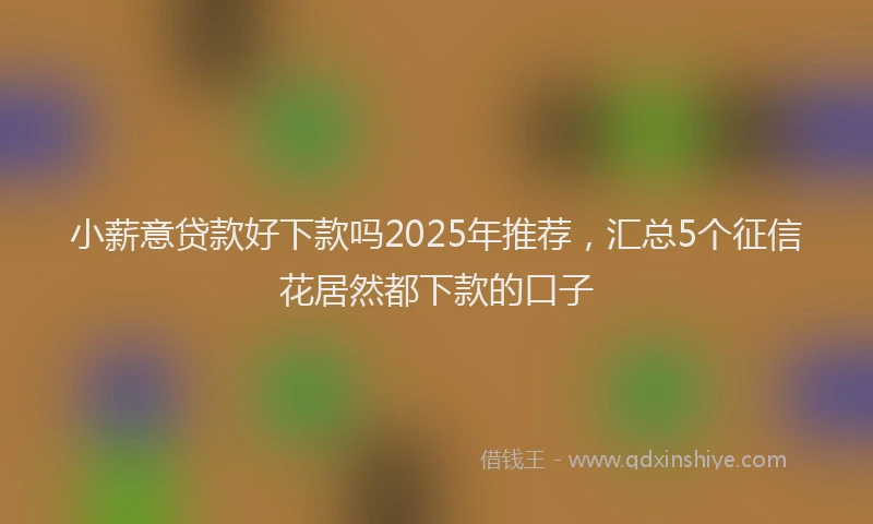 小薪意贷款好下款吗2025年推荐，汇总5个征信花居然都下款的口子