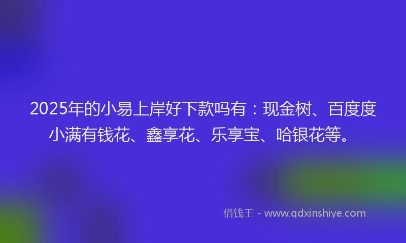 2025年的小易上岸好下款吗有：现金树、百度度小满有钱花、鑫享花、乐享宝、哈银花等。