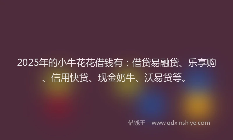 2025年的小牛花花借钱有：借贷易融贷、乐享购、信用快贷、现金奶牛、沃易贷等。
