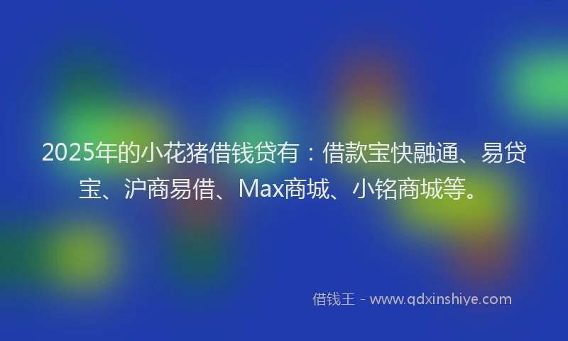 2025年的小花猪借钱贷有：借款宝快融通、易贷宝、沪商易借、Max商城、小铭商城等。
