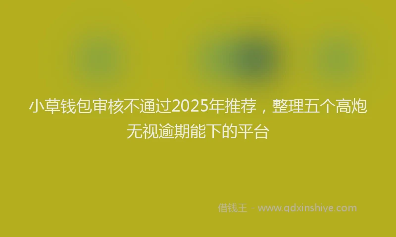 小草钱包审核不通过2025年推荐，整理五个高炮无视逾期能下的平台