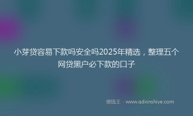小芽贷容易下款吗安全吗2025年精选，整理五个网贷黑户必下款的口子