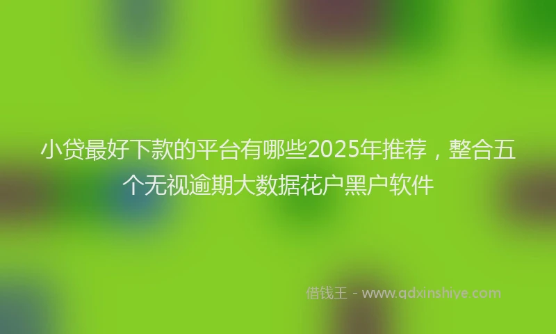 小贷最好下款的平台有哪些2025年推荐，整合五个无视逾期大数据花户黑户软件
