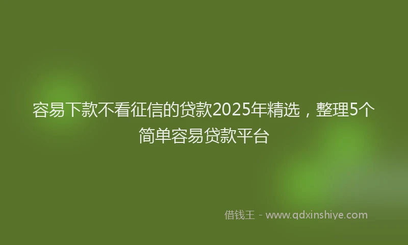 容易下款不看征信的贷款2025年精选，整理5个简单容易贷款平台