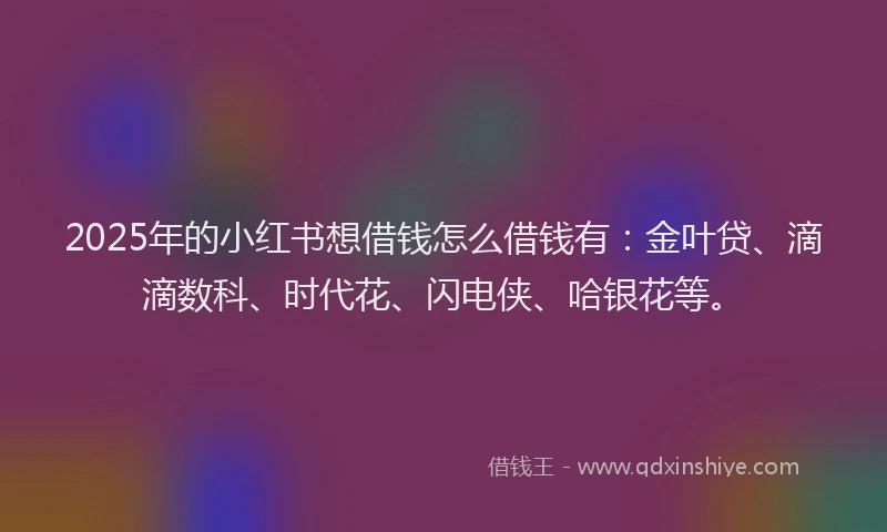 2025年的小红书想借钱怎么借钱有：金叶贷、滴滴数科、时代花、闪电侠、哈银花等。
