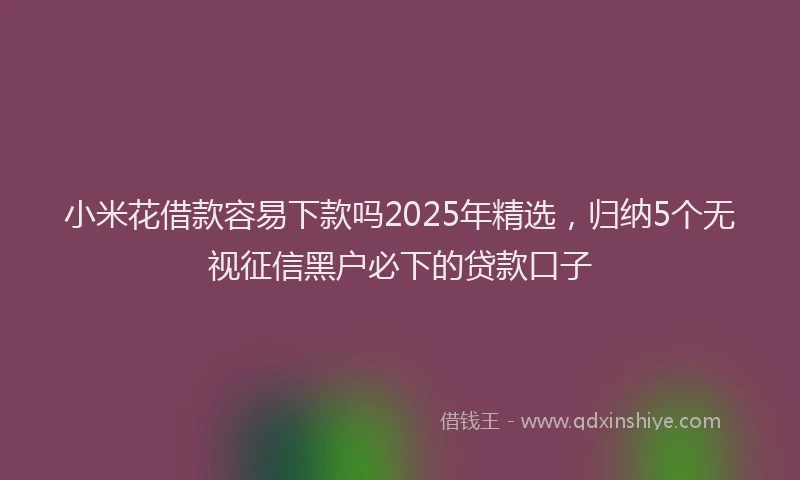 小米花借款容易下款吗2025年精选，归纳5个无视征信黑户必下的贷款口子