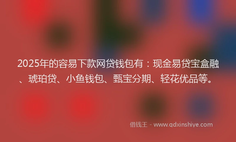 2025年的容易下款网贷钱包有：现金易贷宝盒融、琥珀贷、小鱼钱包、甄宝分期、轻花优品等。