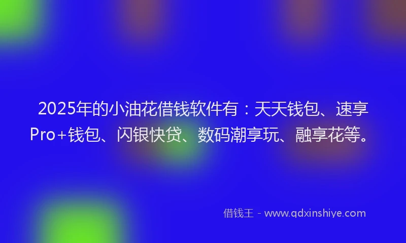 2025年的小油花借钱软件有：天天钱包、速享Pro+钱包、闪银快贷、数码潮享玩、融享花等。