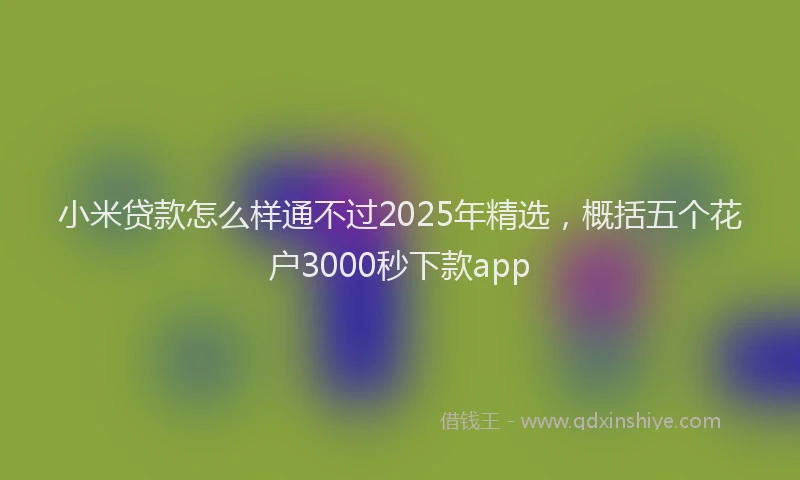 小米贷款怎么样通不过2025年精选，概括五个花户3000秒下款app