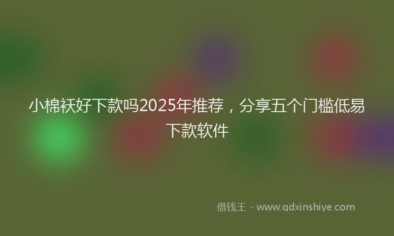 小棉袄好下款吗2025年推荐，分享五个门槛低易下款软件