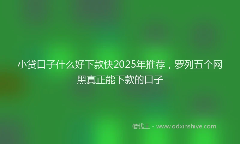 小贷口子什么好下款快2025年推荐，罗列五个网黑真正能下款的口子