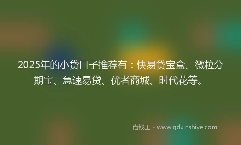 2025年的小贷口子推荐有：快易贷宝盒、微粒分期宝、急速易贷、优者商城、时代花等。