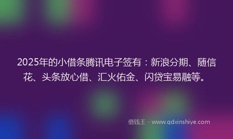 2025年的小借条腾讯电子签有：新浪分期、随信花、头条放心借、汇火佑金、闪贷宝易融等。