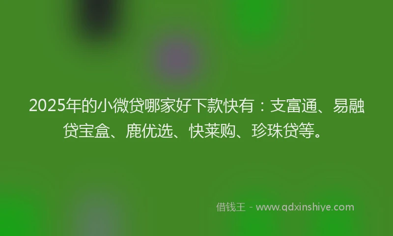2025年的小微贷哪家好下款快有：支富通、易融贷宝盒、鹿优选、快莱购、珍珠贷等。