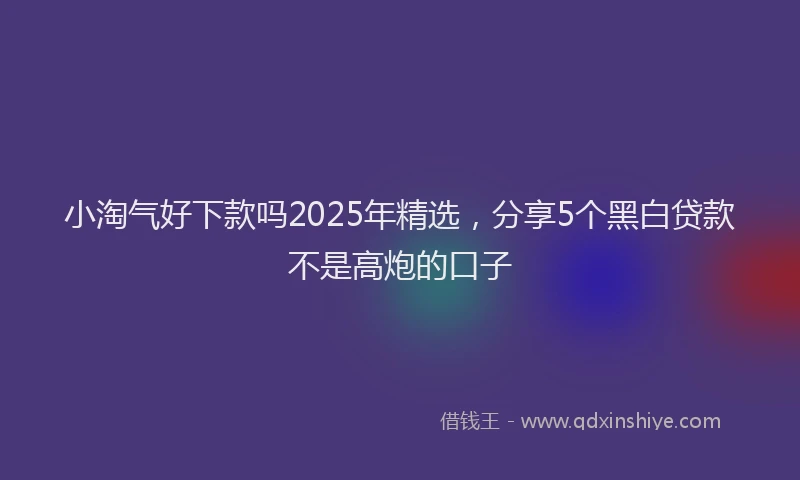 小淘气好下款吗2025年精选，分享5个黑白贷款不是高炮的口子