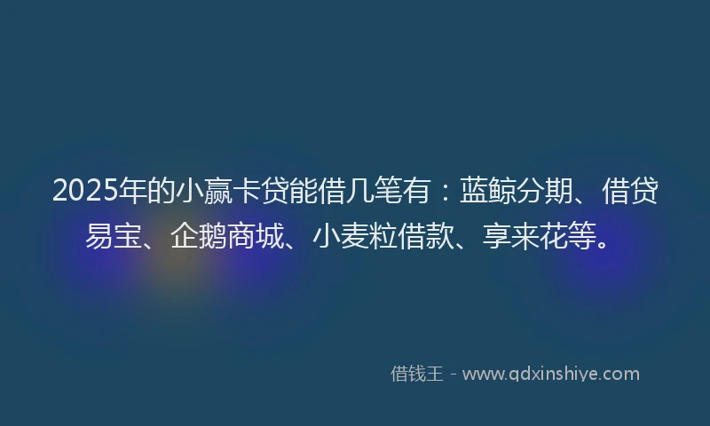 2025年的小赢卡贷能借几笔有：蓝鲸分期、借贷易宝、企鹅商城、小麦粒借款、享来花等。