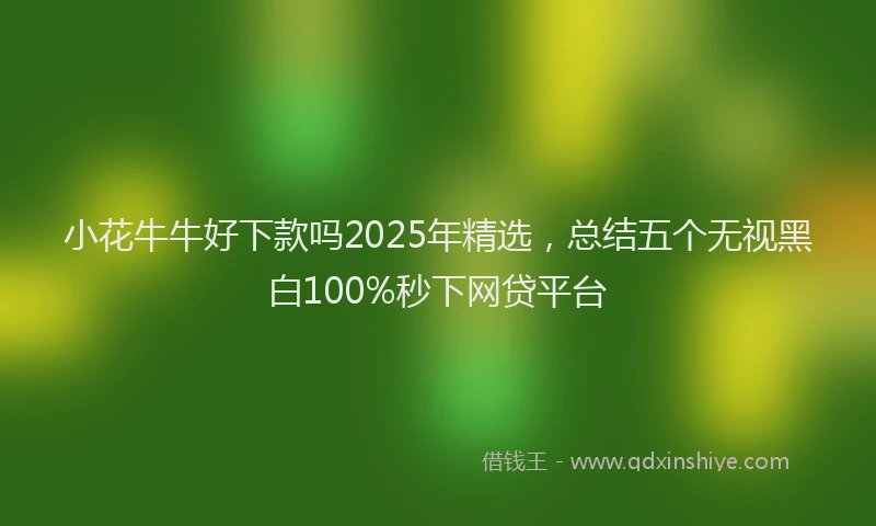 小花牛牛好下款吗2025年精选，总结五个无视黑白100%秒下网贷平台