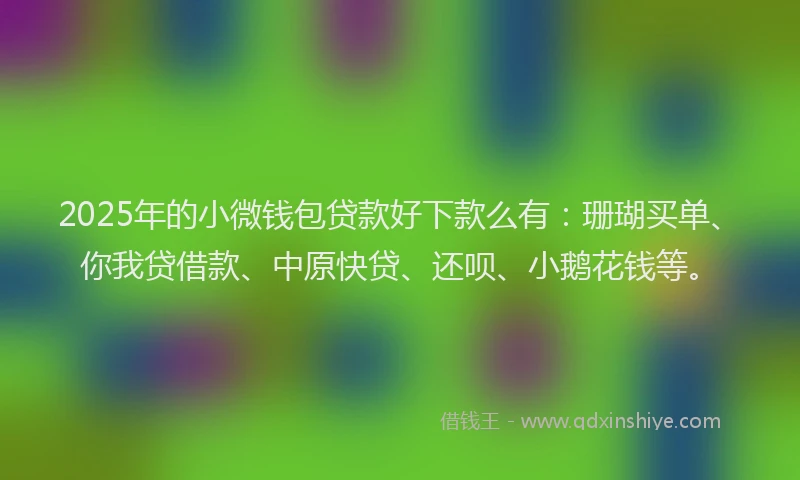 2025年的小微钱包贷款好下款么有：珊瑚买单、你我贷借款、中原快贷、还呗、小鹅花钱等。