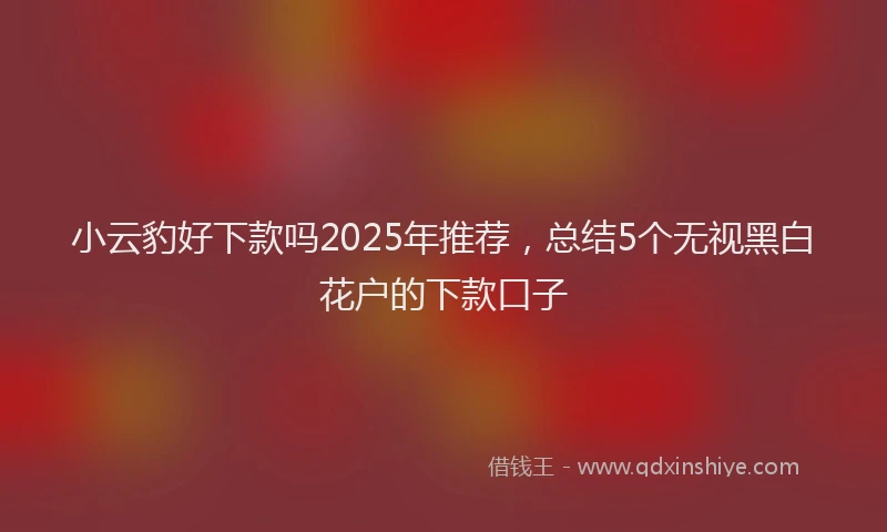 小云豹好下款吗2025年推荐，总结5个无视黑白花户的下款口子