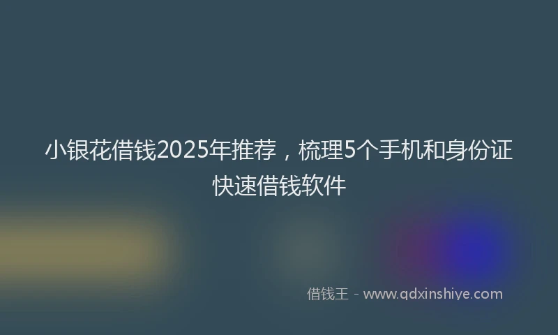 小银花借钱2025年推荐，梳理5个手机和身份证快速借钱软件
