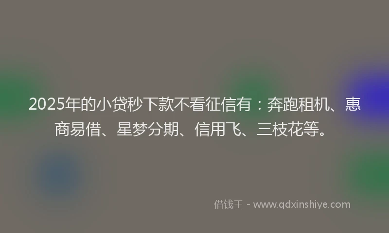2025年的小贷秒下款不看征信有：奔跑租机、惠商易借、星梦分期、信用飞、三枝花等。