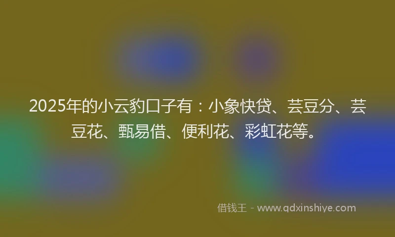 2025年的小云豹口子有：小象快贷、芸豆分、芸豆花、甄易借、便利花、彩虹花等。