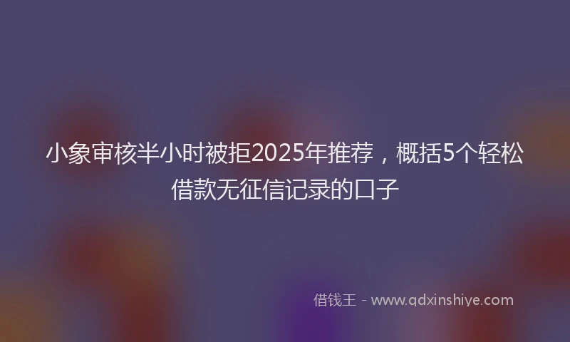 小象审核半小时被拒2025年推荐，概括5个轻松借款无征信记录的口子