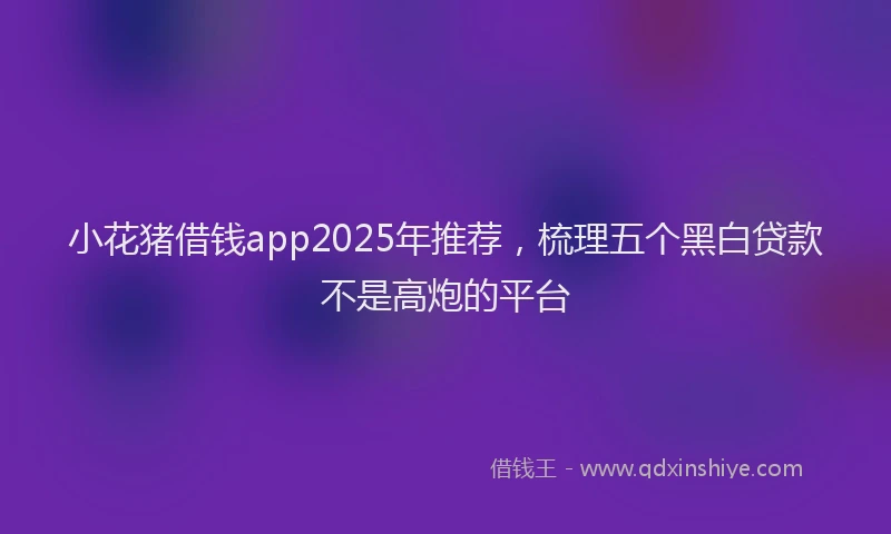 小花猪借钱app2025年推荐，梳理五个黑白贷款不是高炮的平台