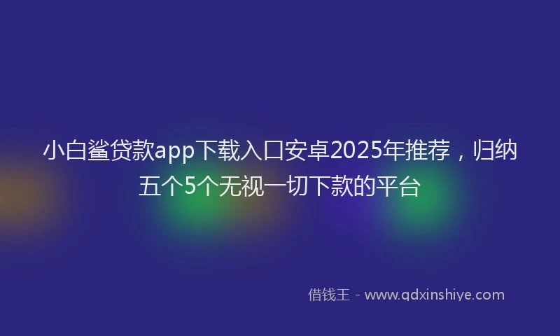 小白鲨贷款app下载入口安卓2025年推荐，归纳五个5个无视一切下款的平台
