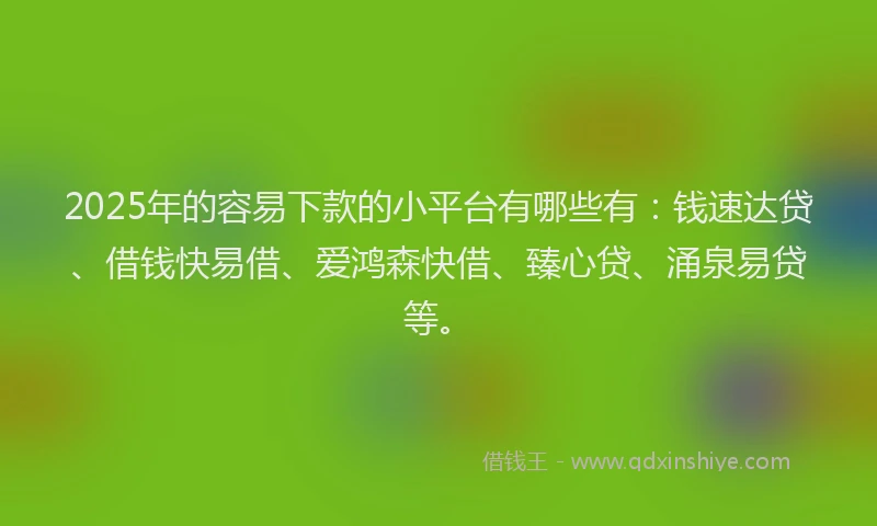 2025年的容易下款的小平台有哪些有：钱速达贷、借钱快易借、爱鸿森快借、臻心贷、涌泉易贷等。