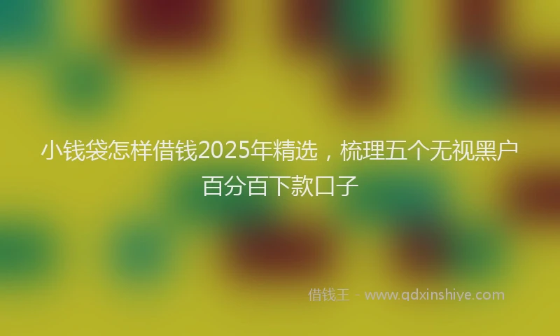 小钱袋怎样借钱2025年精选，梳理五个无视黑户百分百下款口子