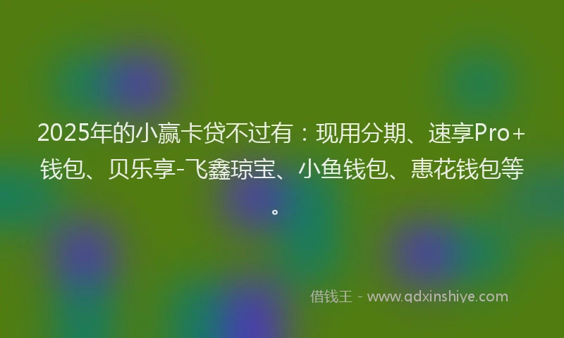 2025年的小赢卡贷不过有：现用分期、速享Pro+钱包、贝乐享-飞鑫琼宝、小鱼钱包、惠花钱包等。