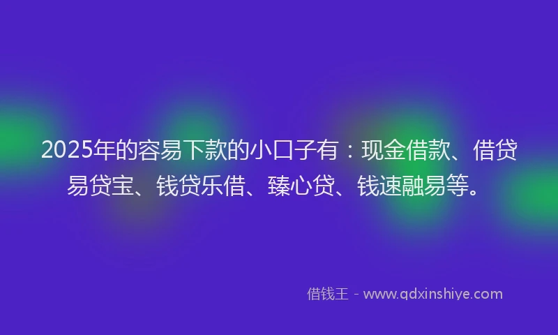2025年的容易下款的小口子有：现金借款、借贷易贷宝、钱贷乐借、臻心贷、钱速融易等。
