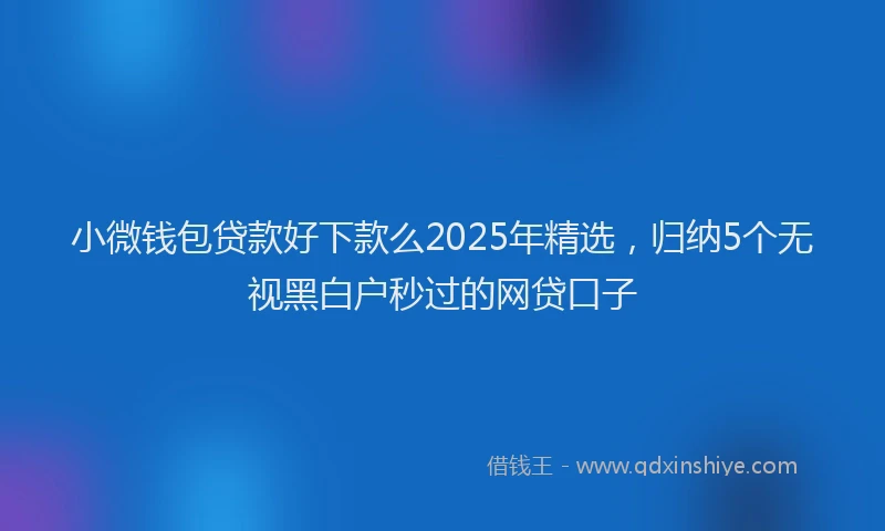 小微钱包贷款好下款么2025年精选，归纳5个无视黑白户秒过的网贷口子