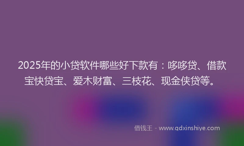 2025年的小贷软件哪些好下款有：哆哆贷、借款宝快贷宝、爱木财富、三枝花、现金侠贷等。