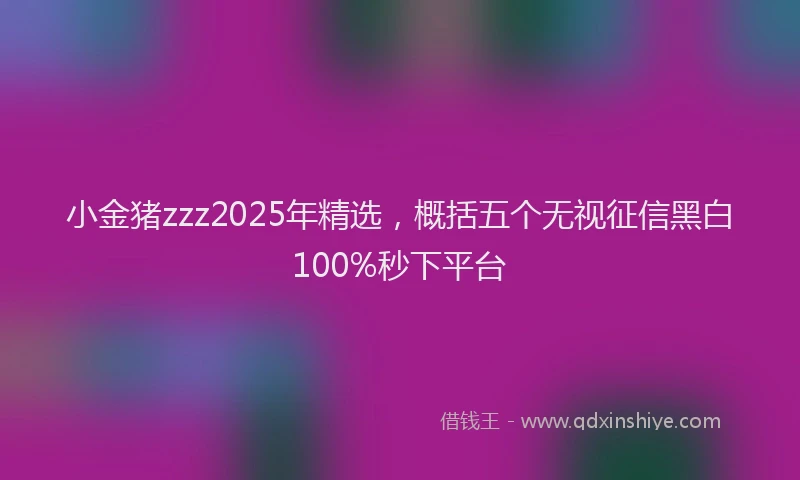 小金猪zzz2025年精选，概括五个无视征信黑白100%秒下平台
