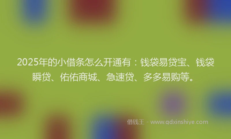2025年的小借条怎么开通有：钱袋易贷宝、钱袋瞬贷、佑佑商城、急速贷、多多易购等。