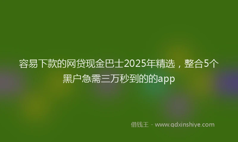 容易下款的网贷现金巴士2025年精选，整合5个黑户急需三万秒到的的app