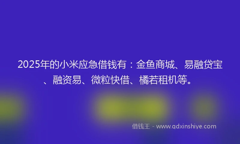 2025年的小米应急借钱有：金鱼商城、易融贷宝、融资易、微粒快借、橘若租机等。