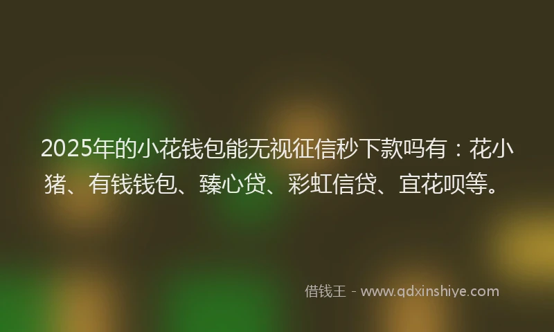 2025年的小花钱包能无视征信秒下款吗有：花小猪、有钱钱包、臻心贷、彩虹信贷、宜花呗等。